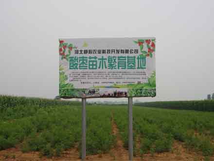 業(yè)務(wù)聚焦 > 商業(yè)地產(chǎn)、城市中合體